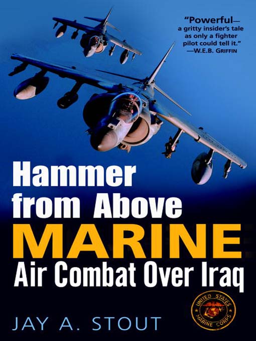 Title details for Hammer from Above by Jay A. Stout - Available
